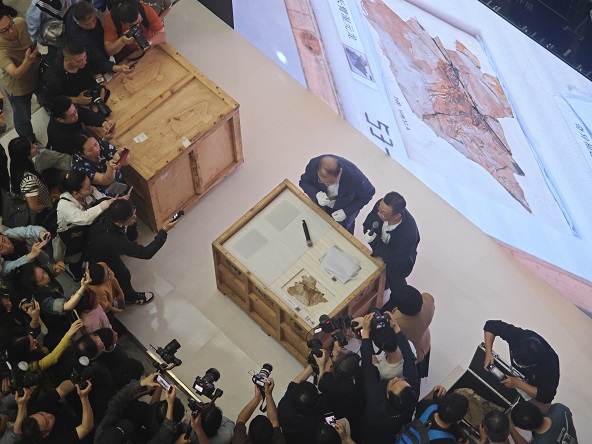 长宏策略 上海314家科普基地组成“百科全书式地图” ，呼唤科普文创超级IP